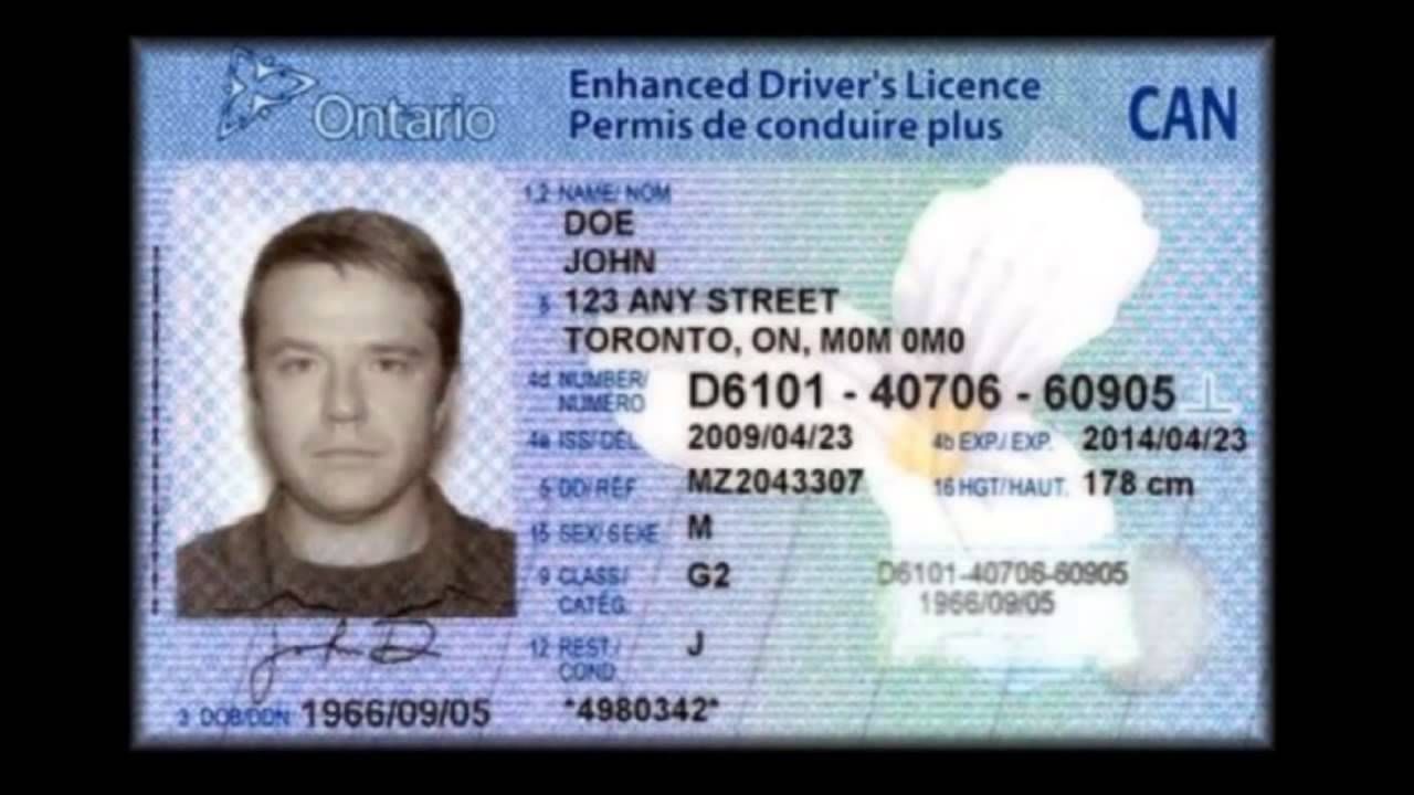 Fake Canadian Drivers License Online