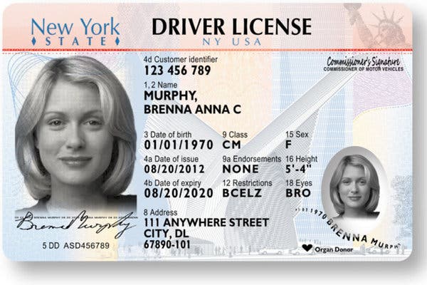 real and fake New York driver’s licenses