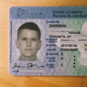 fake Ontario Driver License Online