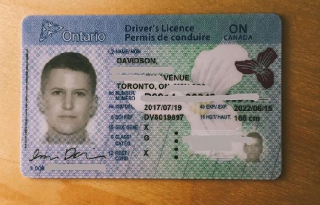 fake ontario drivers license template