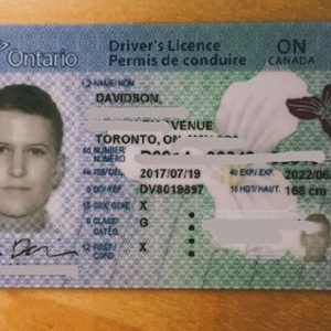 Ontario Drivers license for sale
